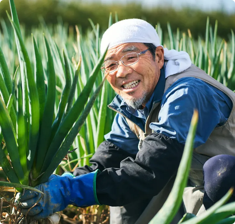 多古町イメージ1