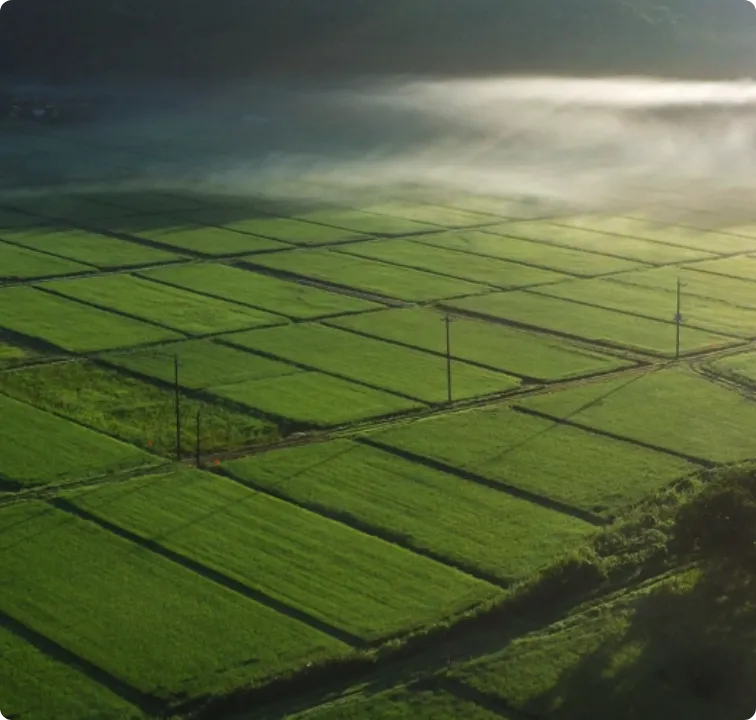 多古町イメージ6