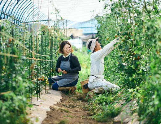 農業体験イメージ