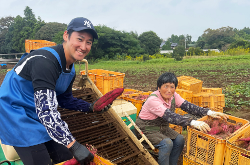 solanaファーム詳細画像