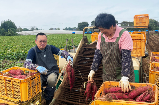 solanaファーム詳細画像