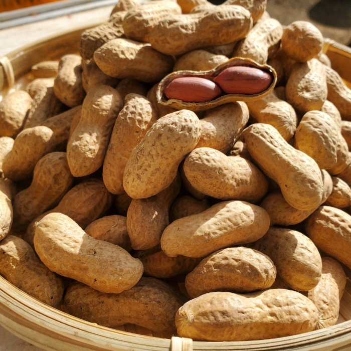 秋山農園農場画像